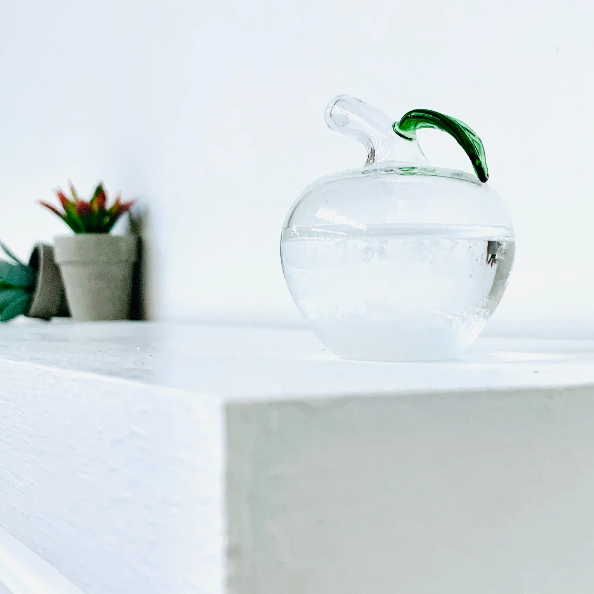 Apple Storm Glass