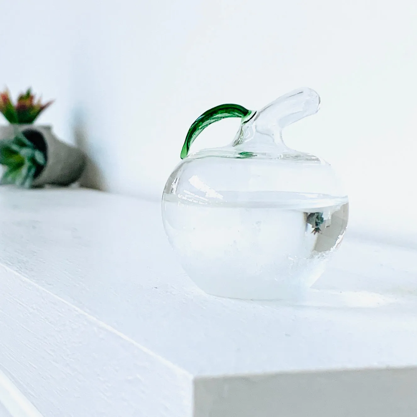 Apple Storm Glass