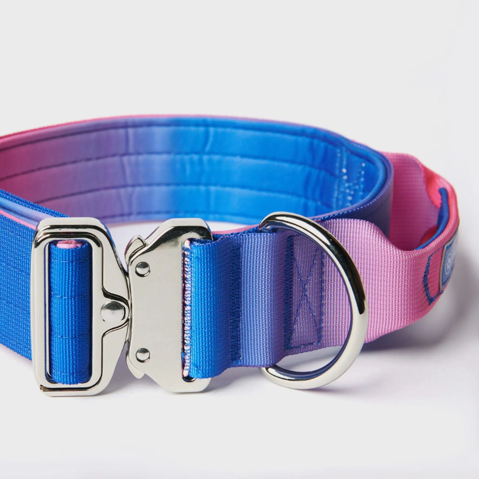 Comfort Control Collar Set - Snow Cone