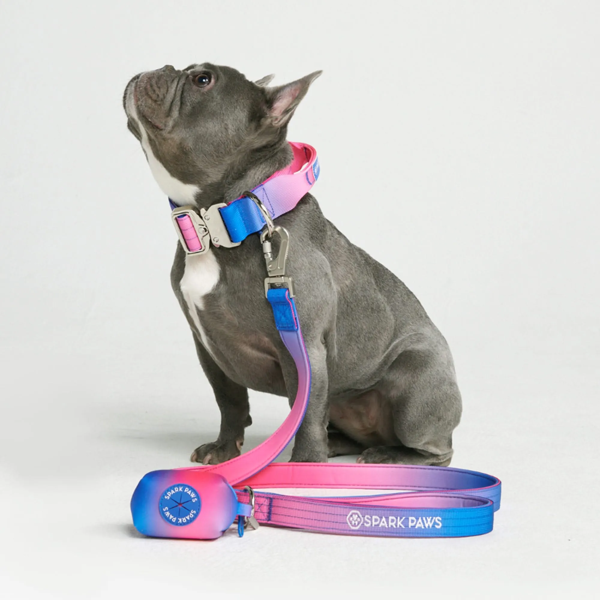 Comfort Control Dog Leash - Snow Cone