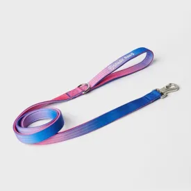 Comfort Control Dog Leash - Snow Cone