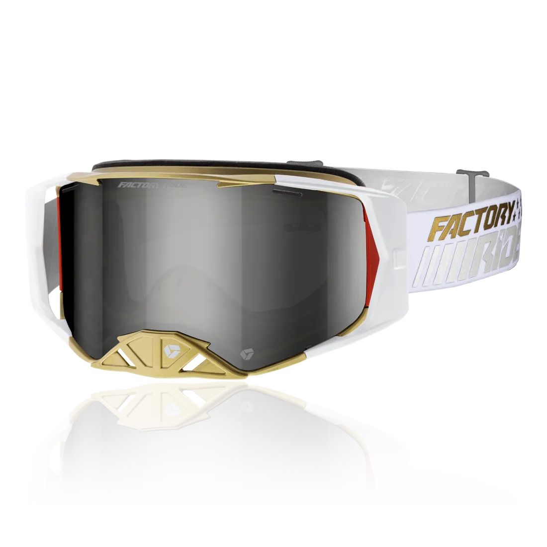 Factory Ride Snow Goggle