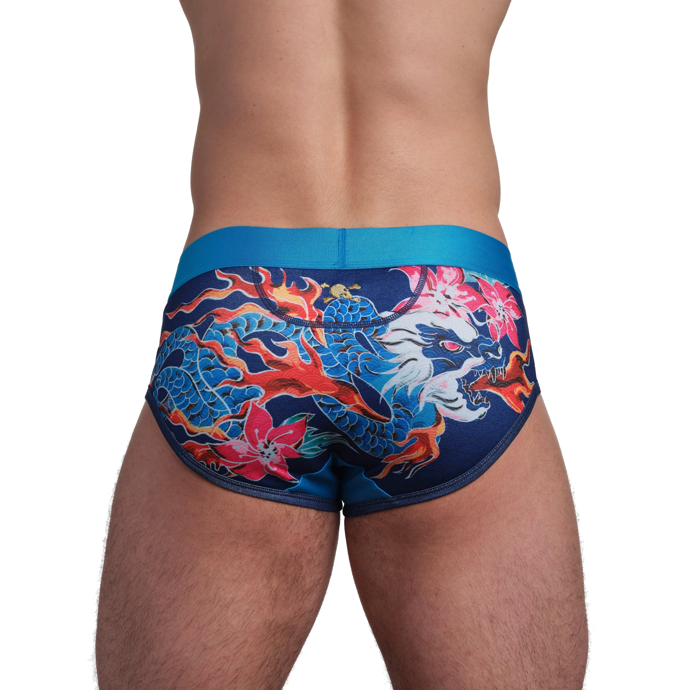 Fire Breathing Dragon Brief