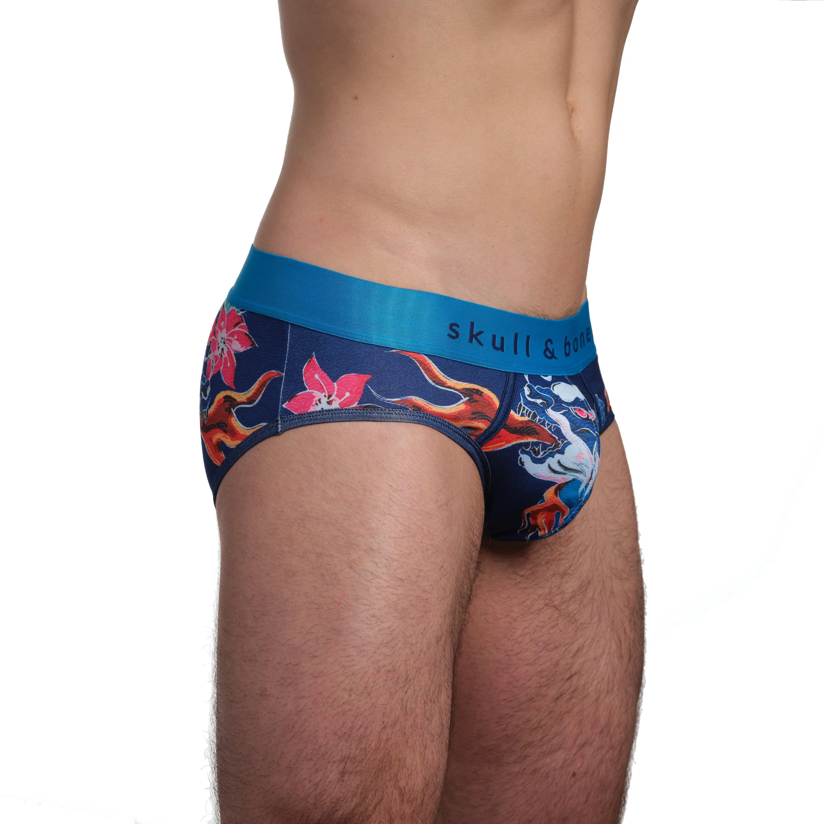 Fire Breathing Dragon Brief