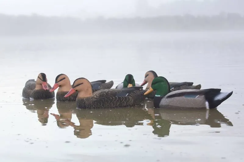 Game On Magnum 20" Mallard Flocked Decoy Family: 6-Pack