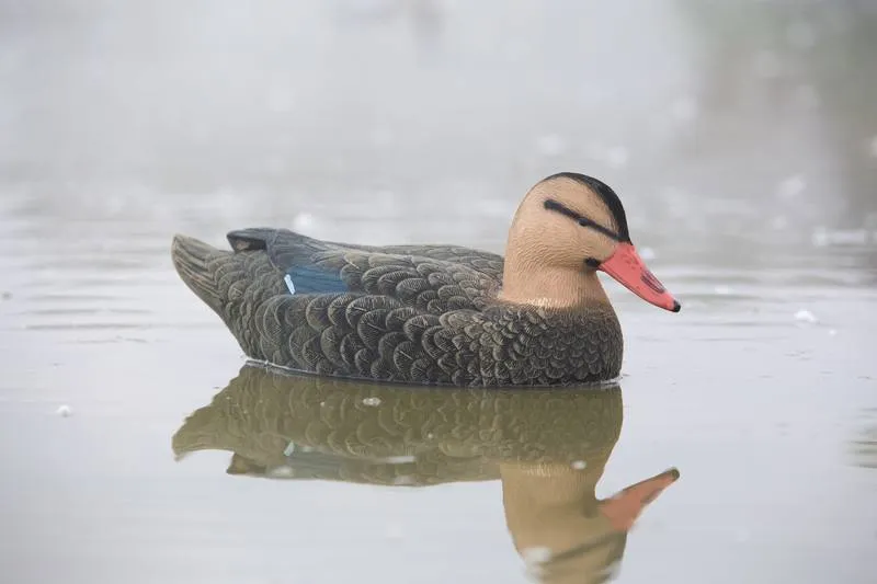 Game On Magnum 20" Mallard Flocked Decoy Family: 6-Pack