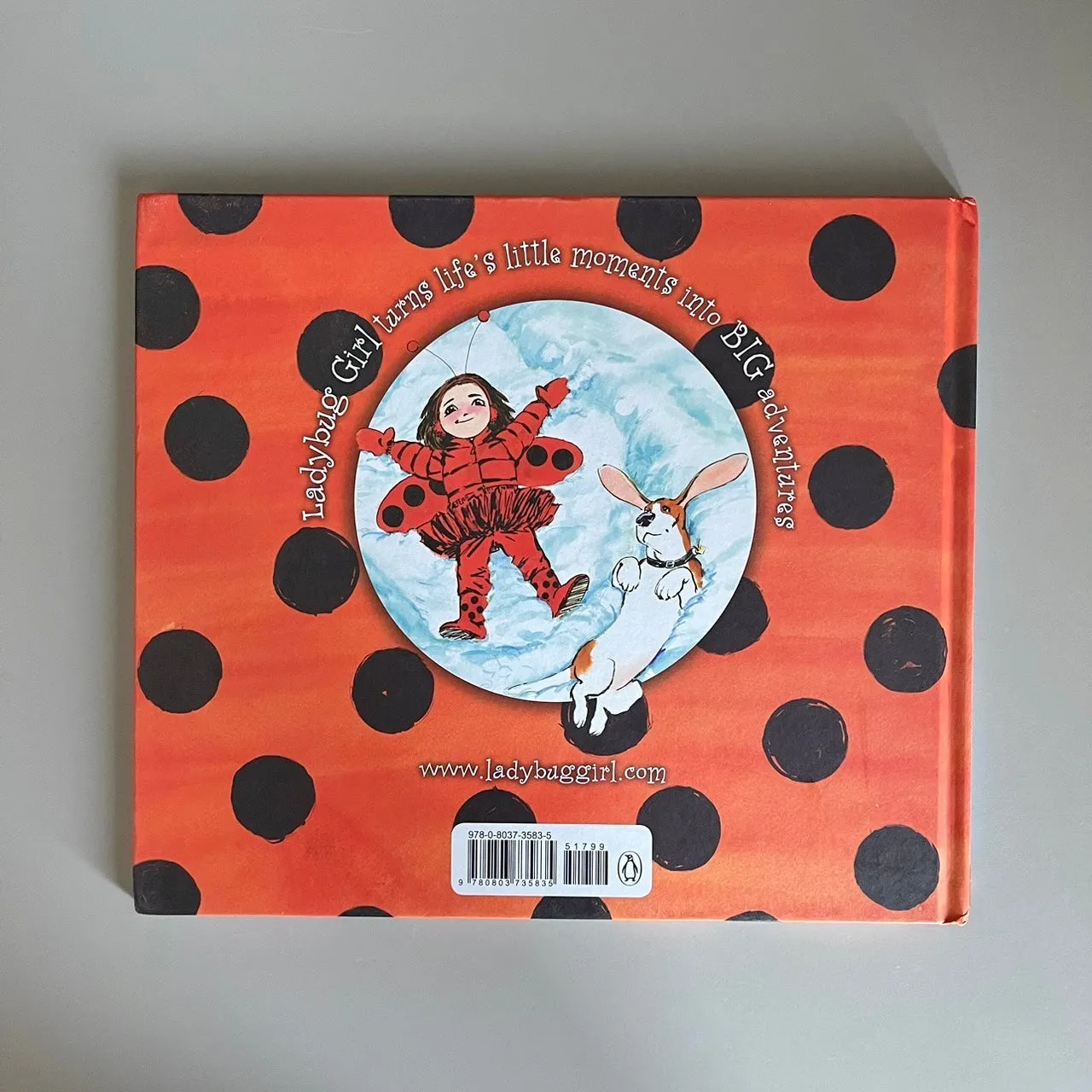 Ladybug Girl and the Big Snow / David Soman