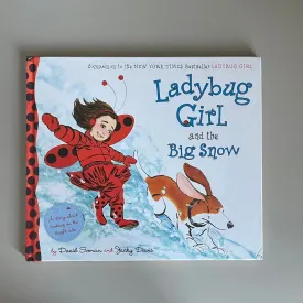 Ladybug Girl and the Big Snow / David Soman