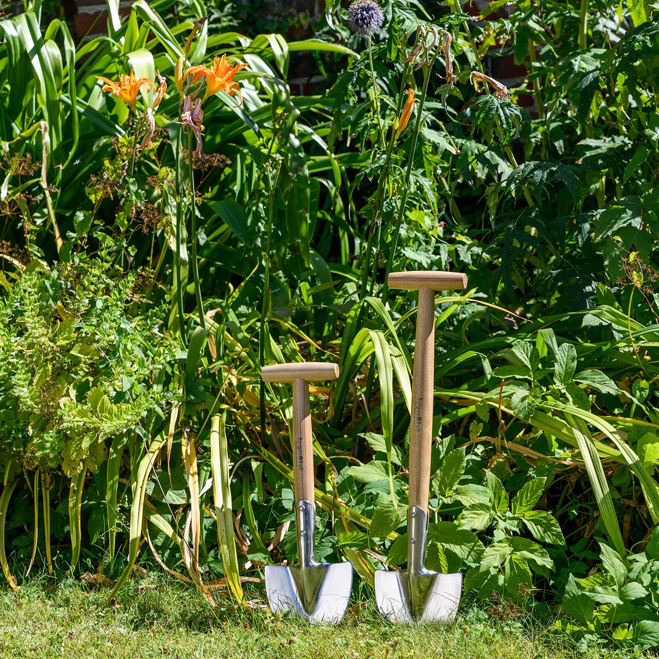 Short-Handled Perennial Spade - RHS Endorsed