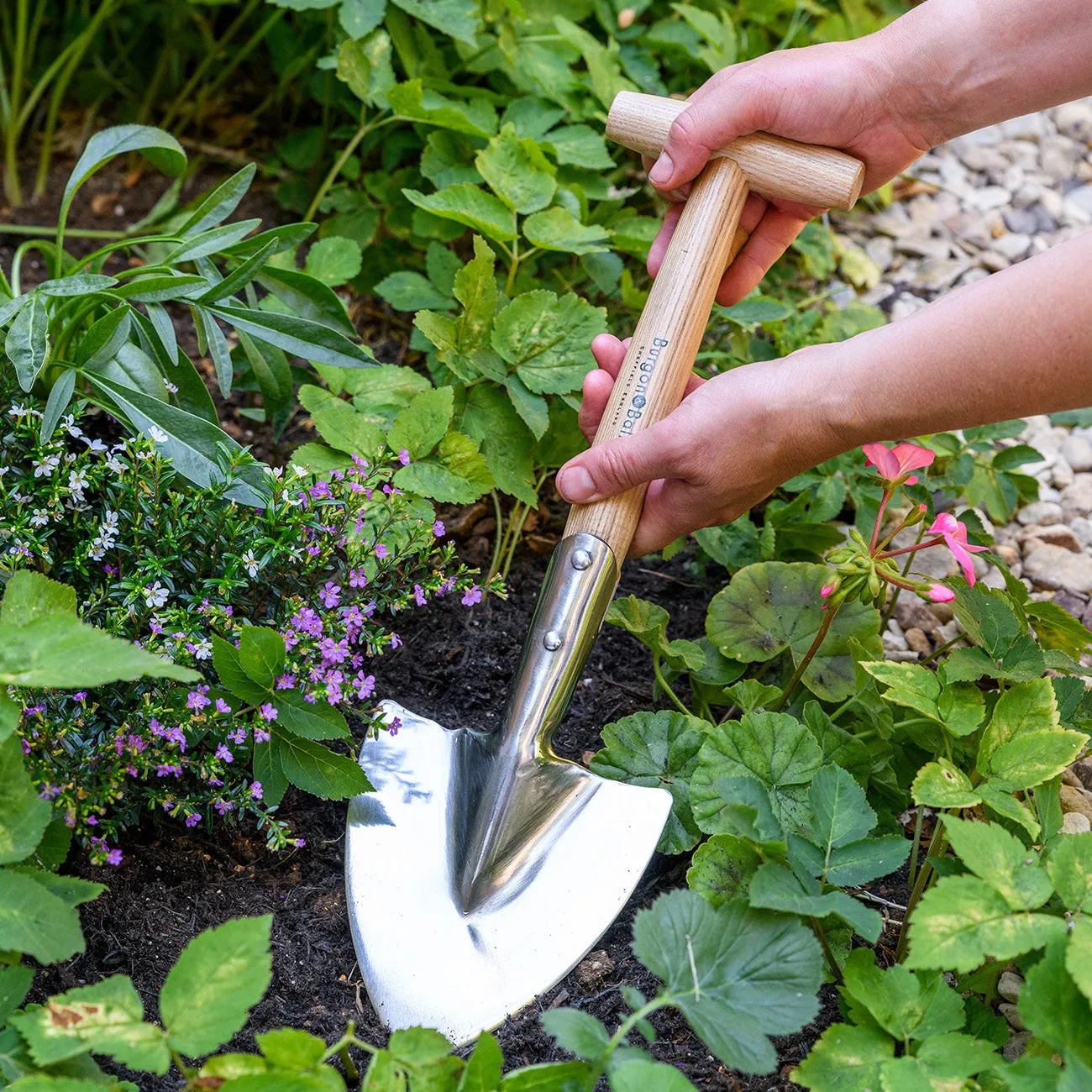 Short-Handled Perennial Spade - RHS Endorsed