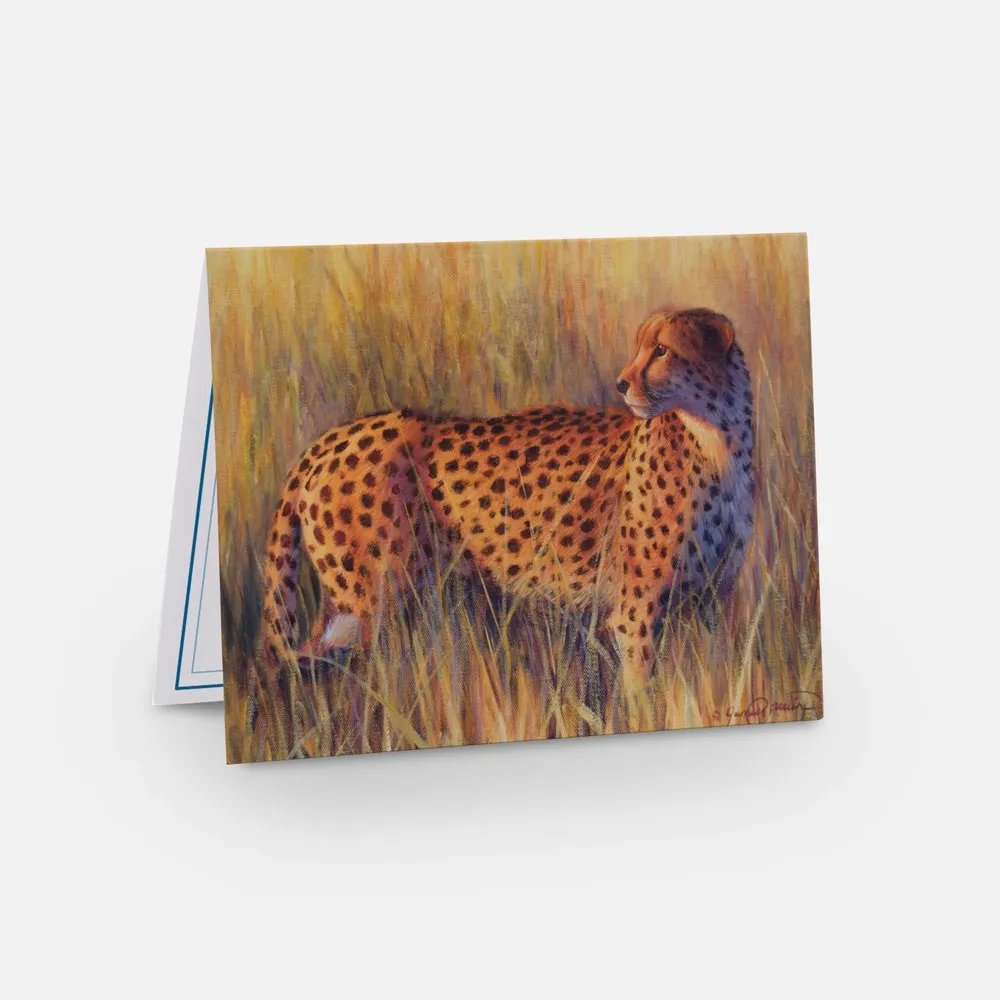 Wildlife Note Cards - Mixed Pack of 3 (Limit 1)